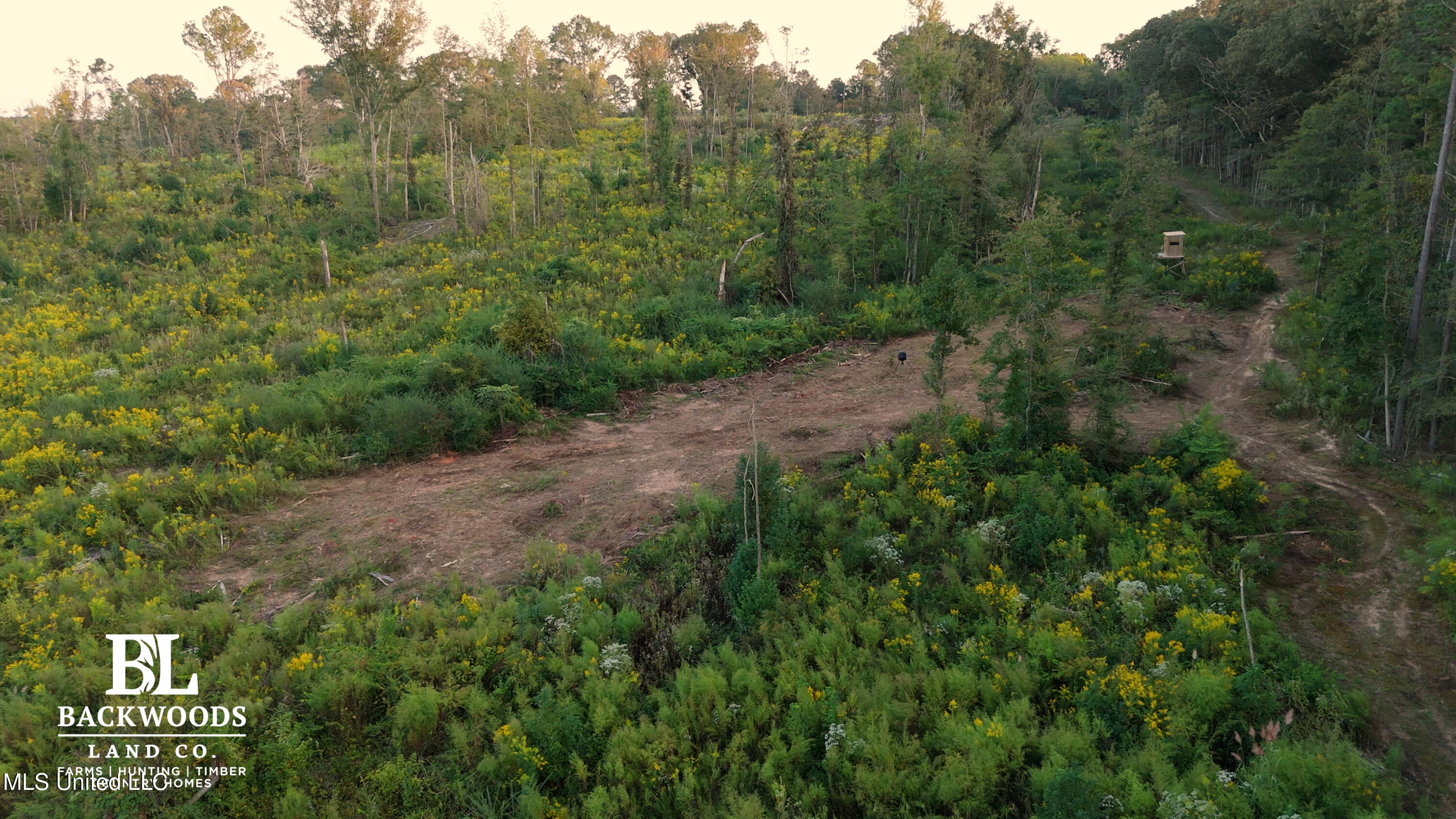 Food plot