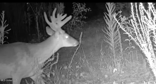 $139,900 | 2 Edwards Road, Carthage, MS 39051