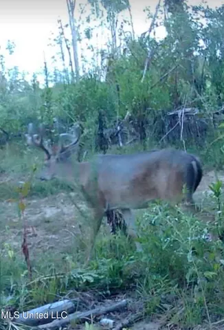 $139,900 | 2 Edwards Road, Carthage, MS 39051