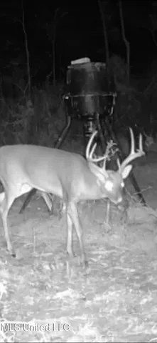 $139,900 | 2 Edwards Road, Carthage, MS 39051