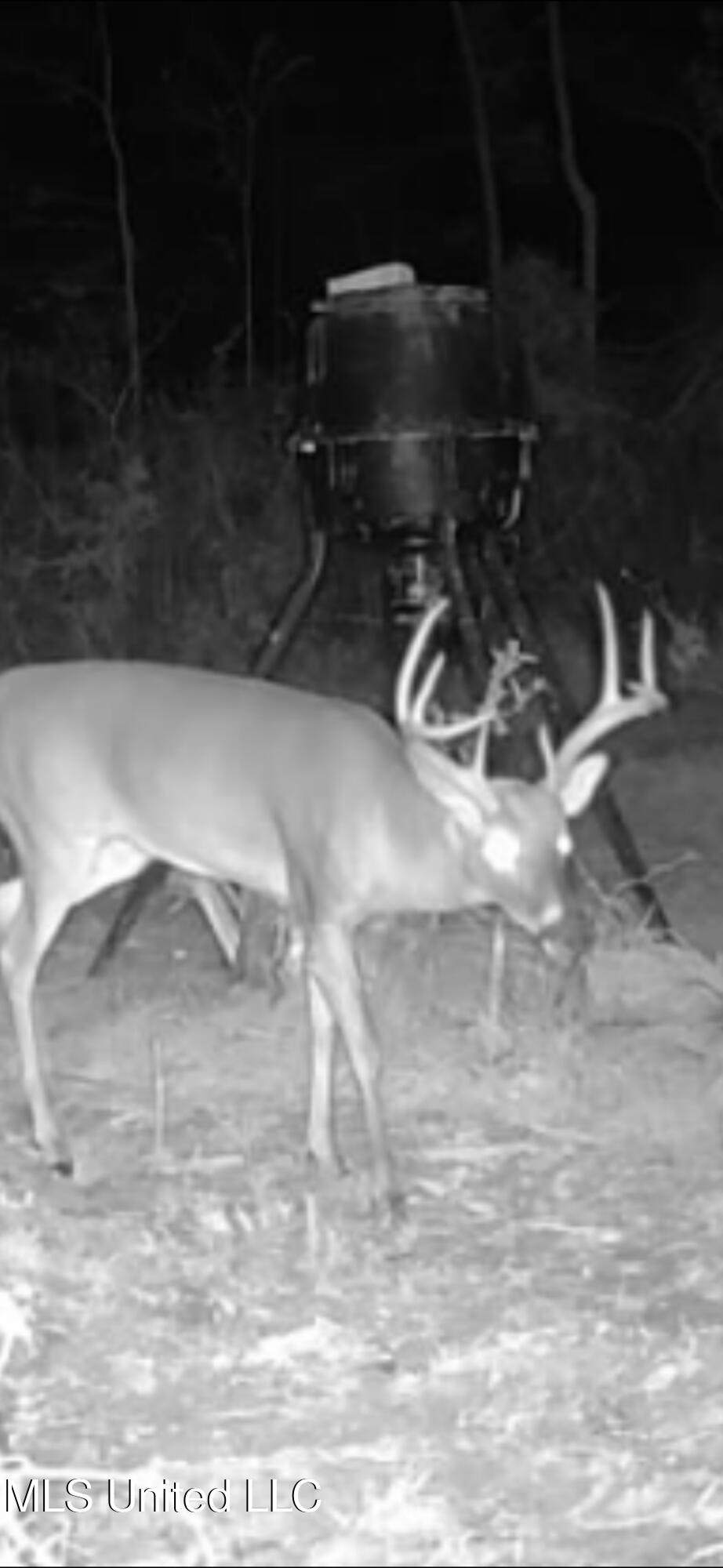 2 Edwards Road Carthage, MS 39051 - Photo 16 of 18 IMG_2070