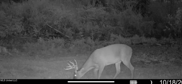 $139,900 | 2 Edwards Road, Carthage, MS 39051