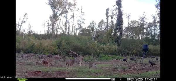 $125,000 | 2 Edwards Road, Carthage, MS 39051