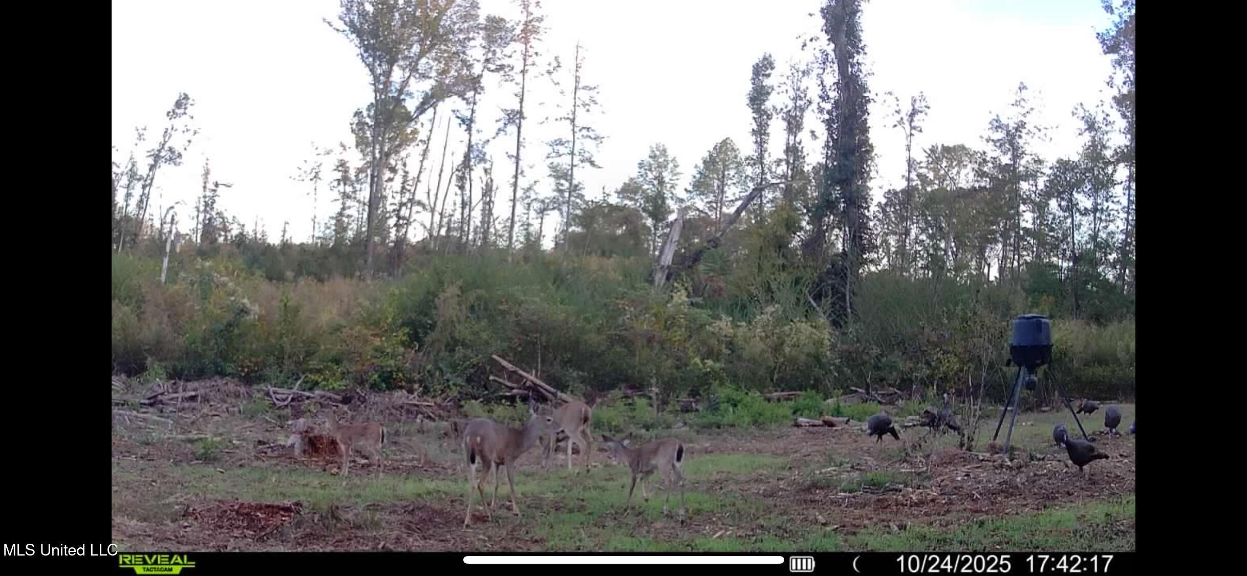2 Edwards Road Carthage, MS 39051 - Photo 18 of 18 IMG_2868