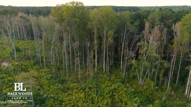 $139,900 | 2 Edwards Road, Carthage, MS 39051