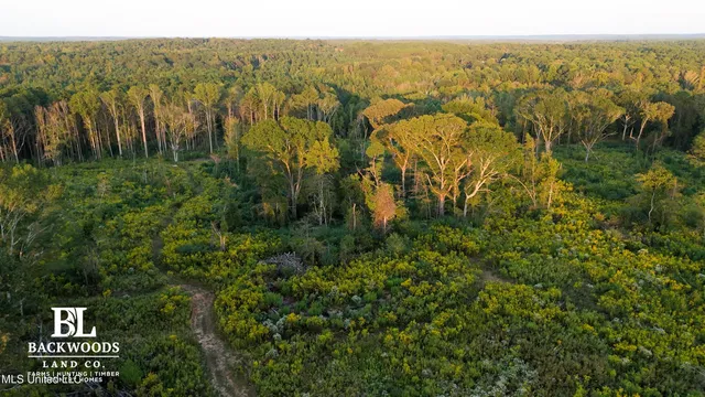 $139,900 | 2 Edwards Road, Carthage, MS 39051