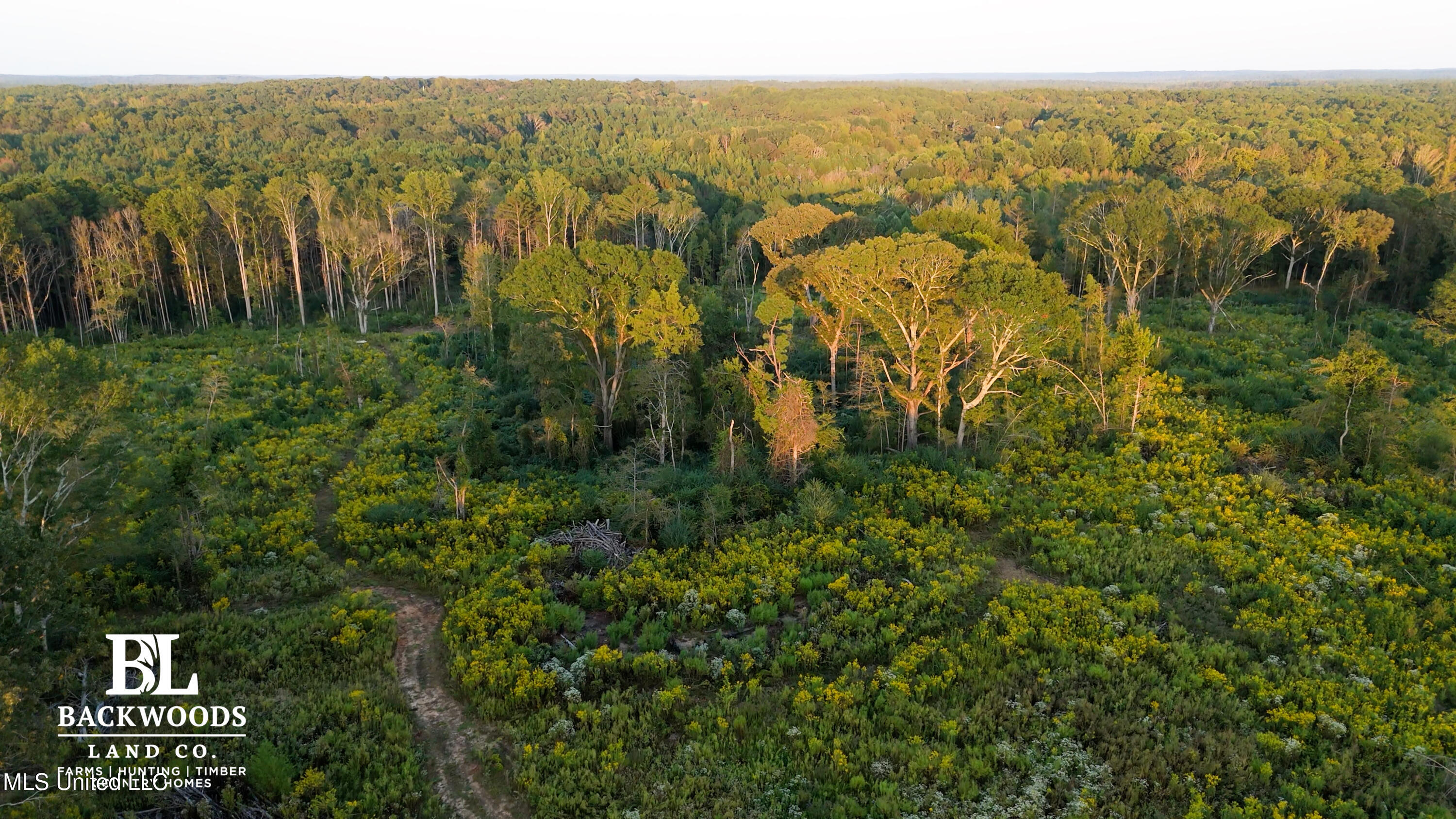 2 Edwards Road Carthage, MS 39051 - Photo 3 of 18 hayes leak county pics03