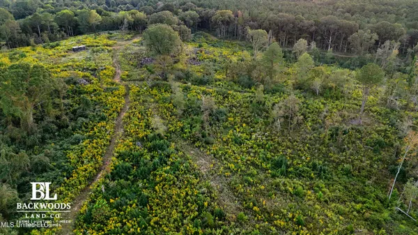 $125,000 | 2 Edwards Road, Carthage, MS 39051