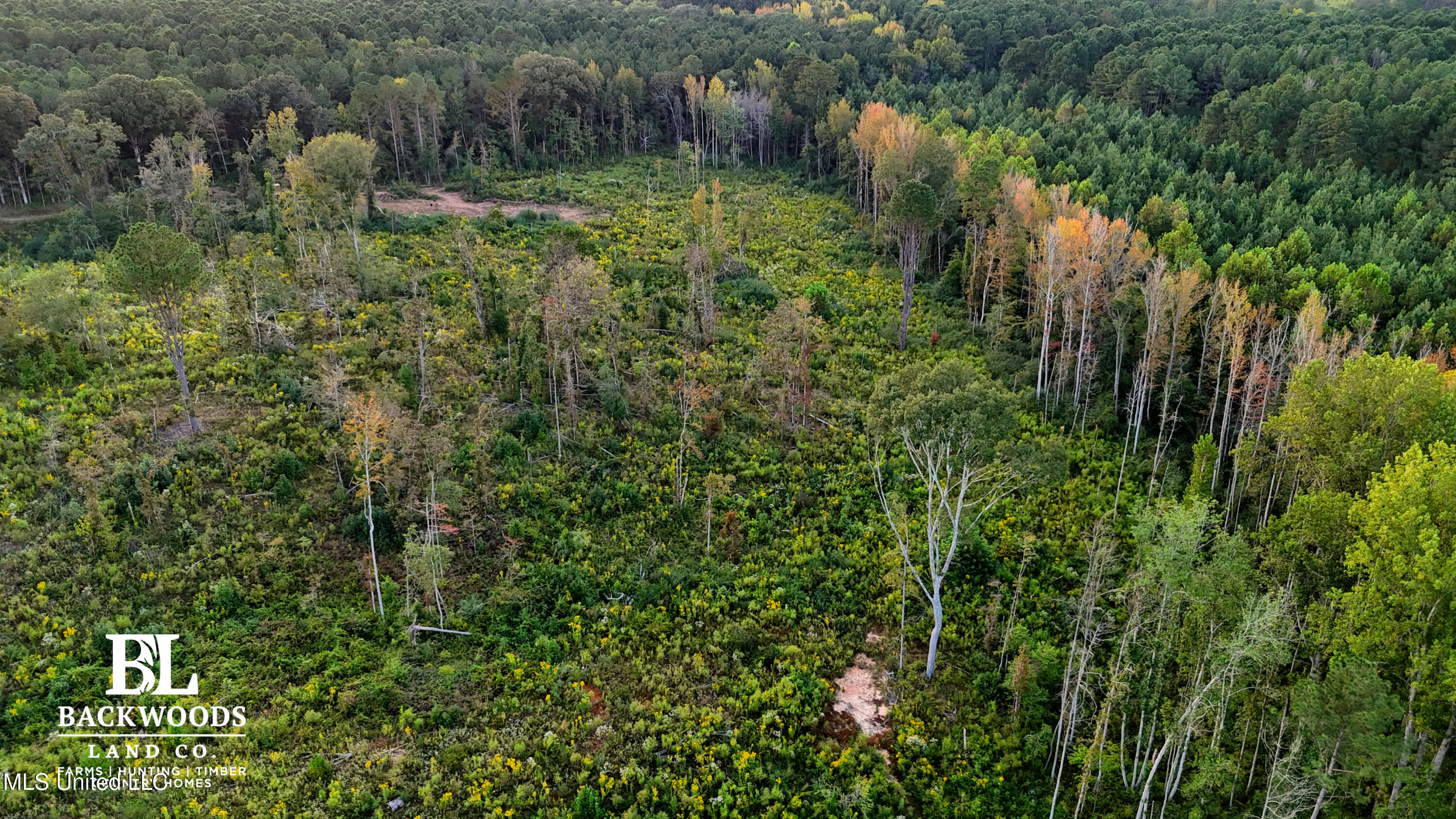 2 Edwards Road Carthage, MS 39051 - Photo 6 of 18 hayes leak county pics00