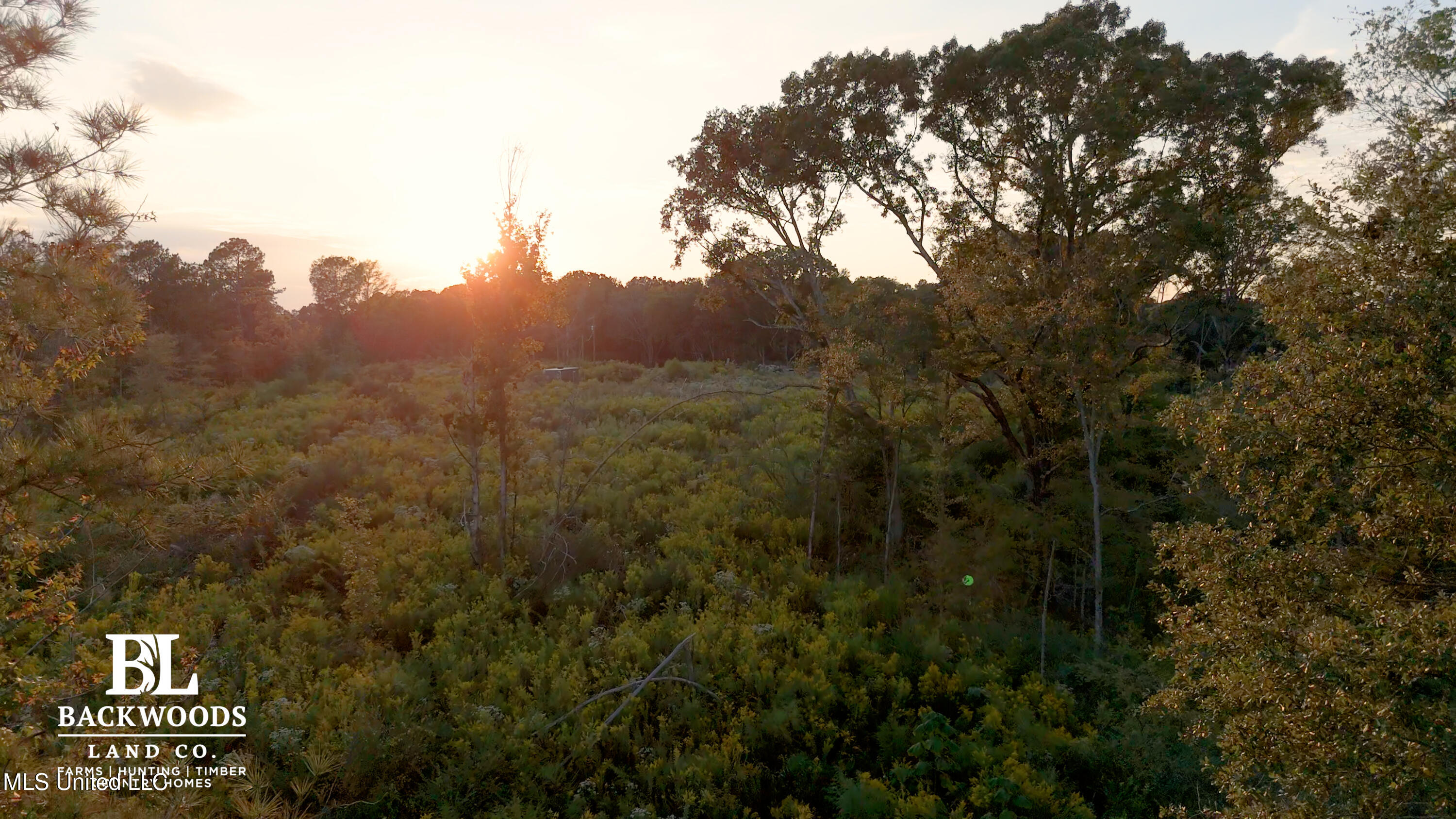 2 Edwards Road Carthage, MS 39051 - Photo 7 of 18 hayes leak county pics17