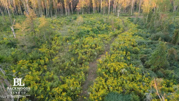 $125,000 | 2 Edwards Road, Carthage, MS 39051