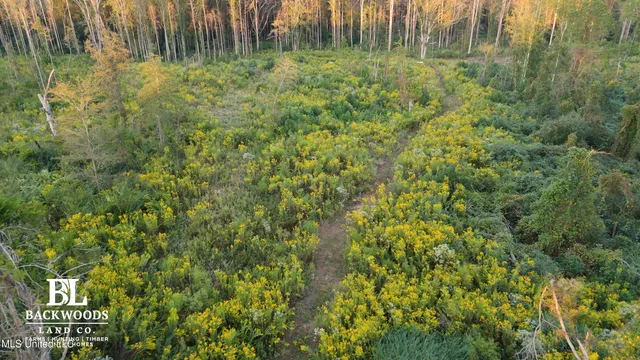 $139,900 | 2 Edwards Road, Carthage, MS 39051