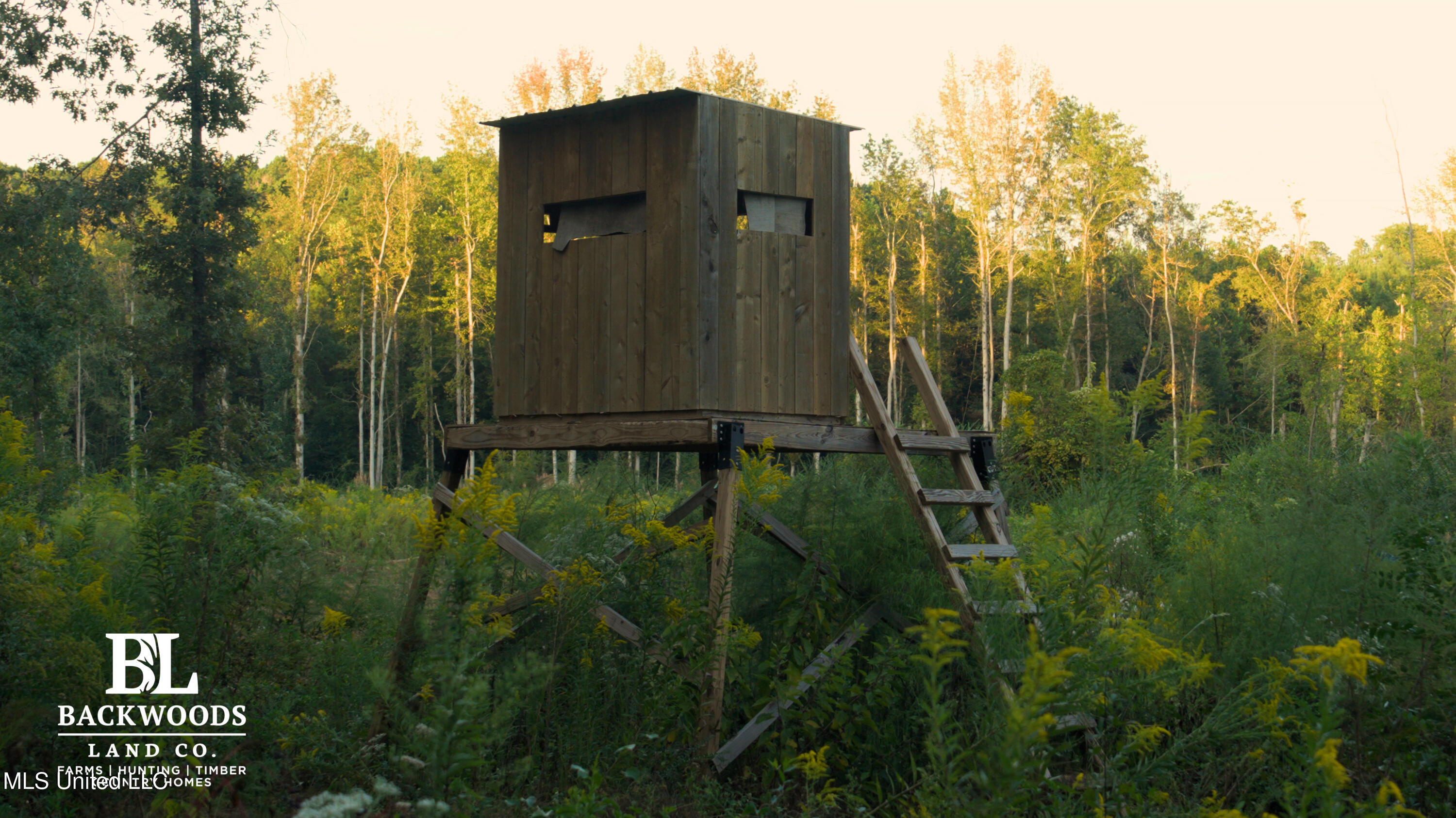 2 Edwards Road Carthage, MS 39051 - Photo 10 of 18 hayes leak county pics13