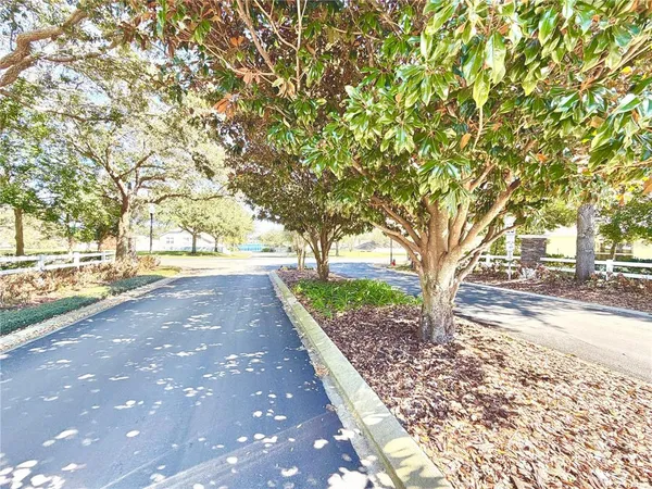 a view of a yard with plants and trees
