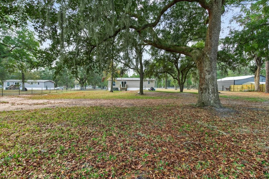 1088 Mulberry Landing Road Hilliard, FL 32046 - Photo 25 of 30 a view of a yard with plants and trees