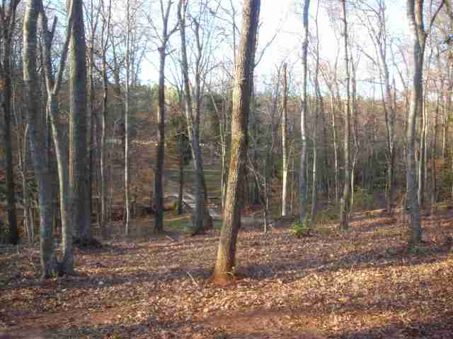 510 McCullough School Road Honea Path, SC 29654 - Photo 11 of 13