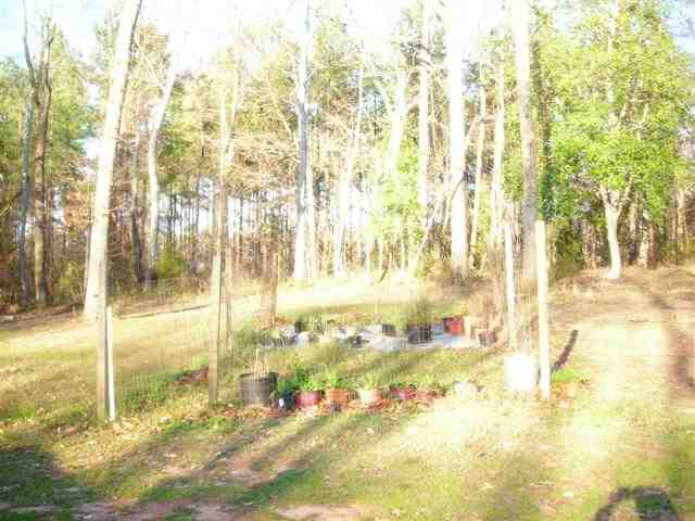 510 McCullough School Road Honea Path, SC 29654 - Photo 12 of 13