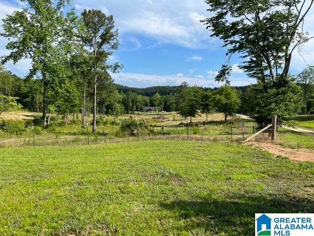 8134 Clairmont Springs Road Lineville, AL 36266 - Photo 25 of 36