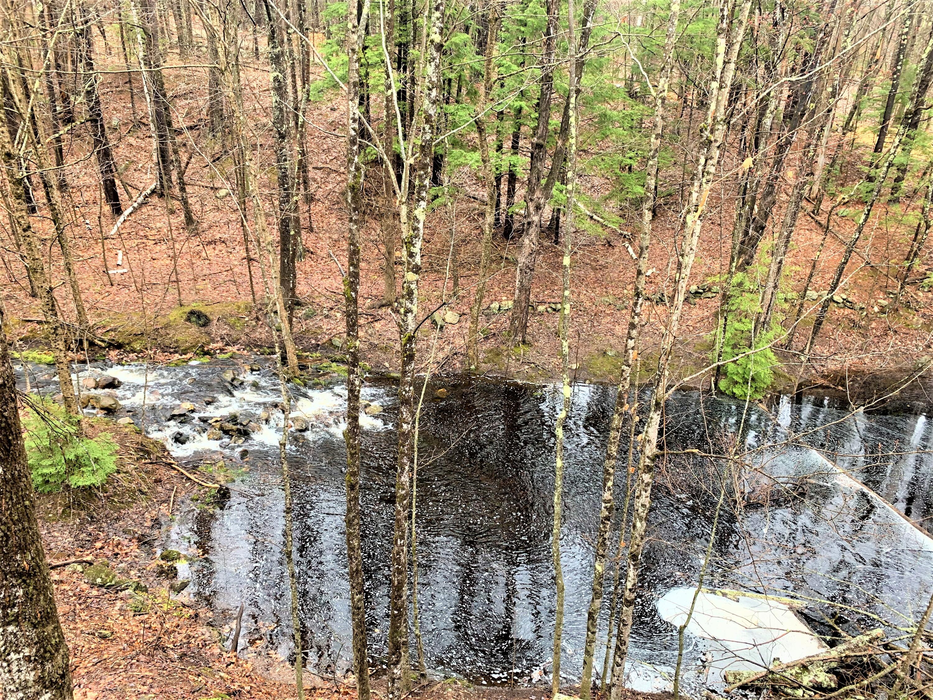 947 Goding Road Acton, ME 04001 - Photo 33 of 38 Sweeney overlooking the river