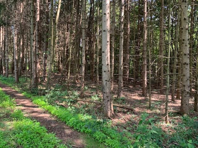 5075 Harlem Road Galena, OH 43021 - Photo 8 of 18 Gallery Image 8