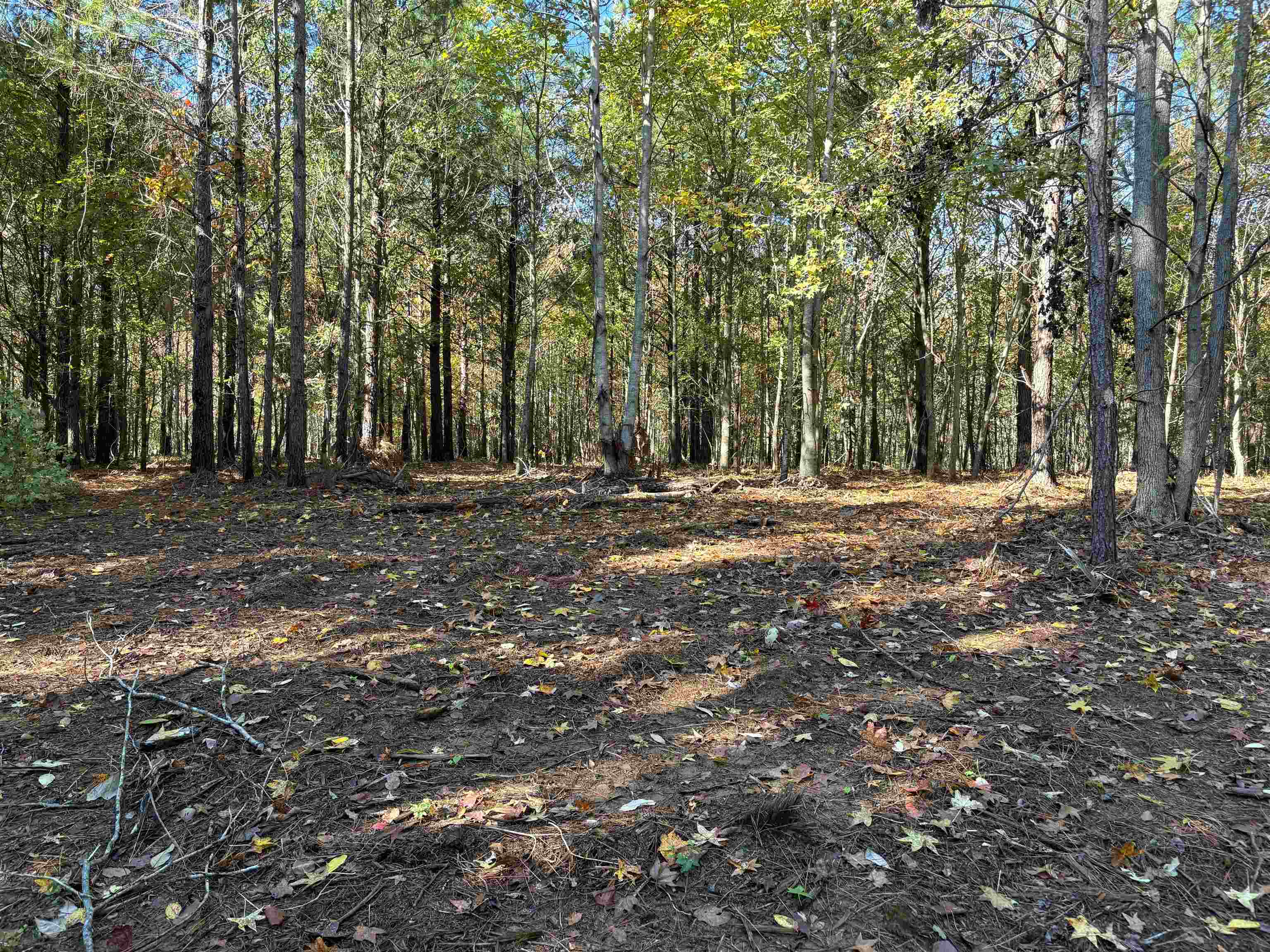 0 Bethuel Road, Unit LOT 12 Millington, TN 38053 - Photo 11 of 16 a fire hydrant in the middle of a field