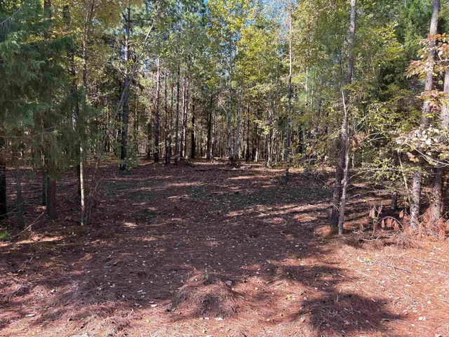 a view of outdoor space with tree s