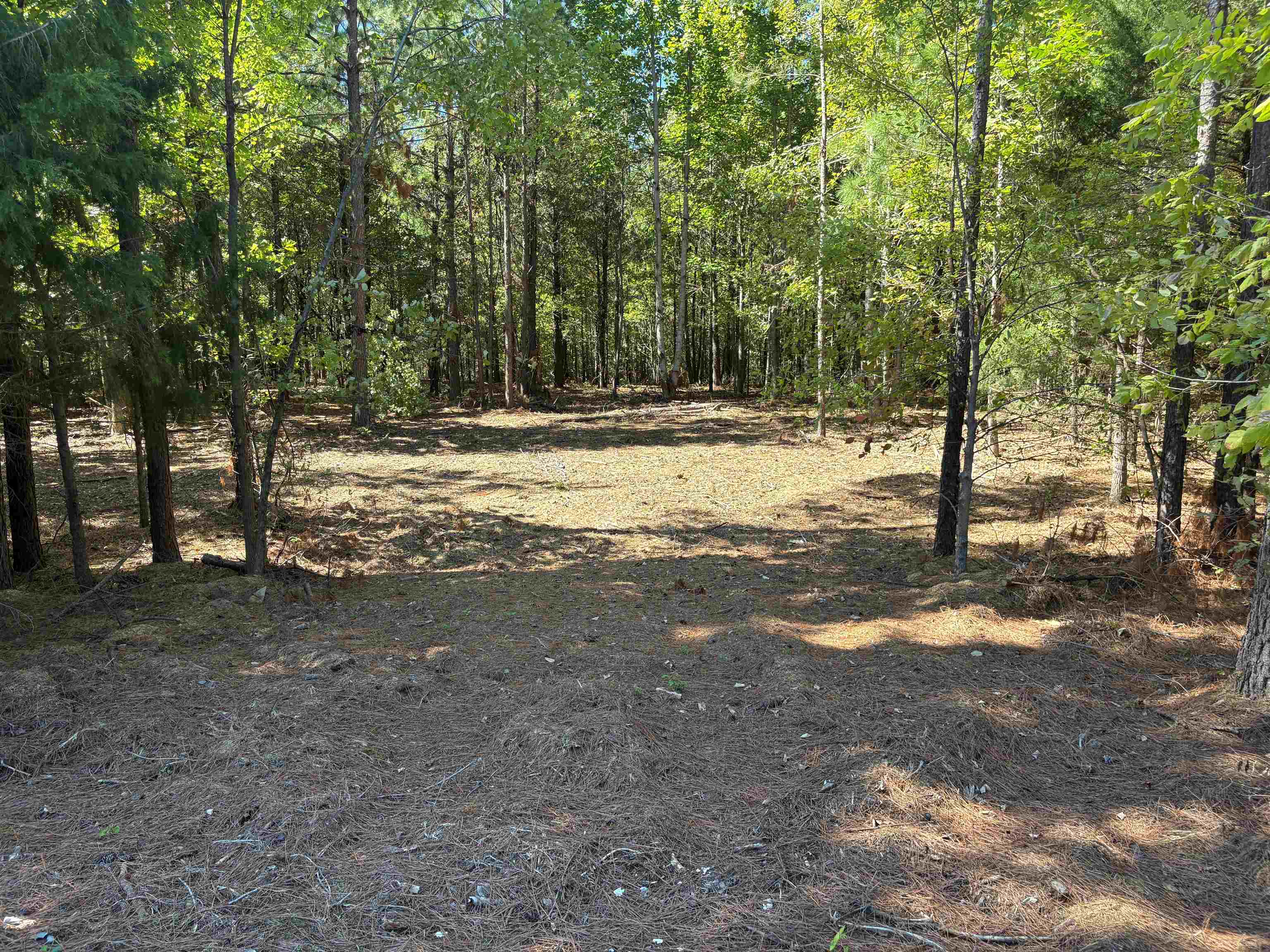 0 Bethuel Road, Unit LOT 12 Millington, TN 38053 - Photo 6 of 16 a view of outdoor space with trees