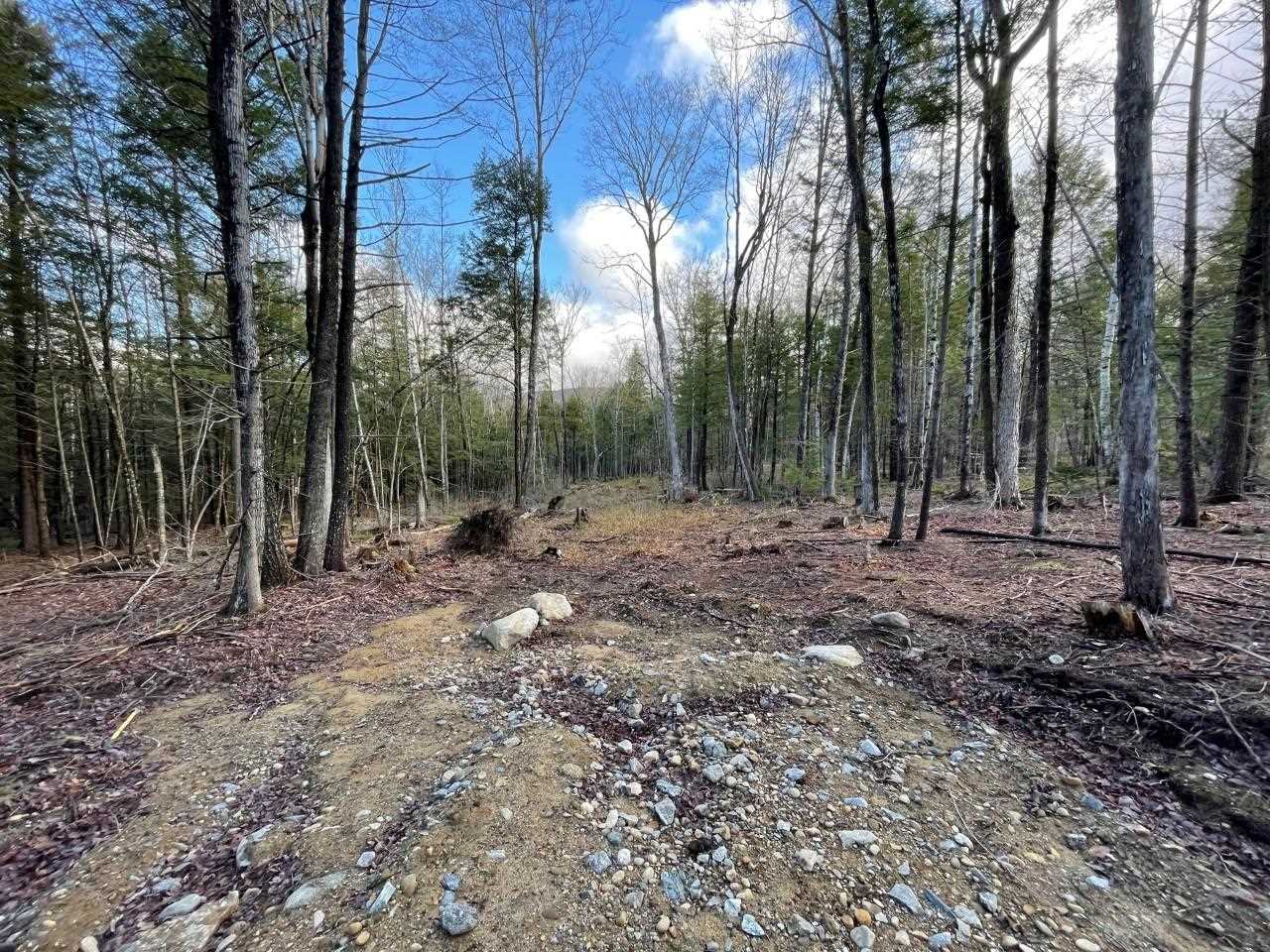 75 Perch Pond Road, Unit LOT 2 Holderness, NH 03245 - Photo 3 of 7