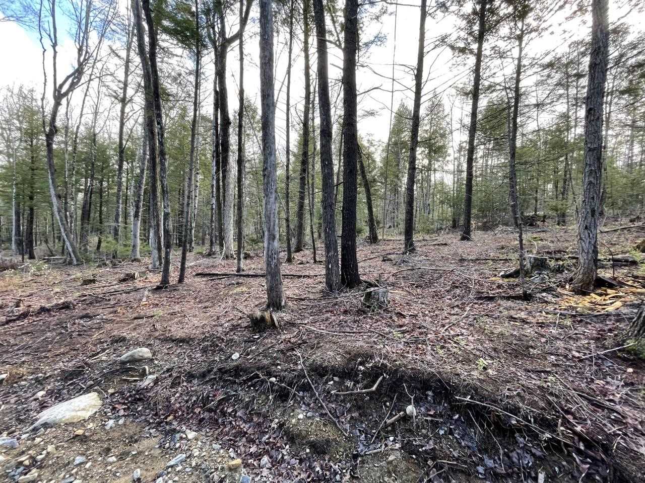 75 Perch Pond Road, Unit LOT 2 Holderness, NH 03245 - Photo 4 of 7