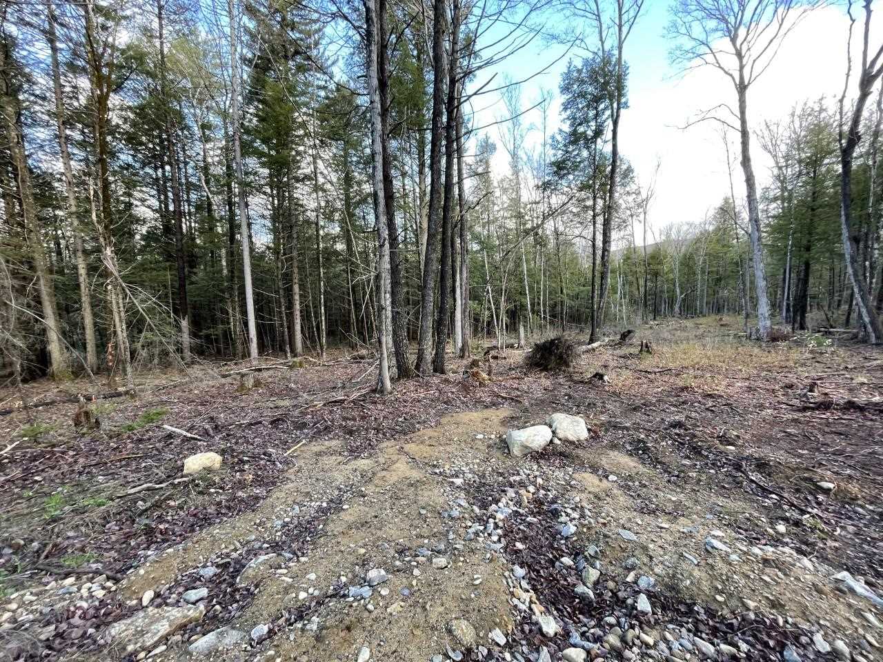 75 Perch Pond Road, Unit LOT 2 Holderness, NH 03245 - Photo 5 of 7