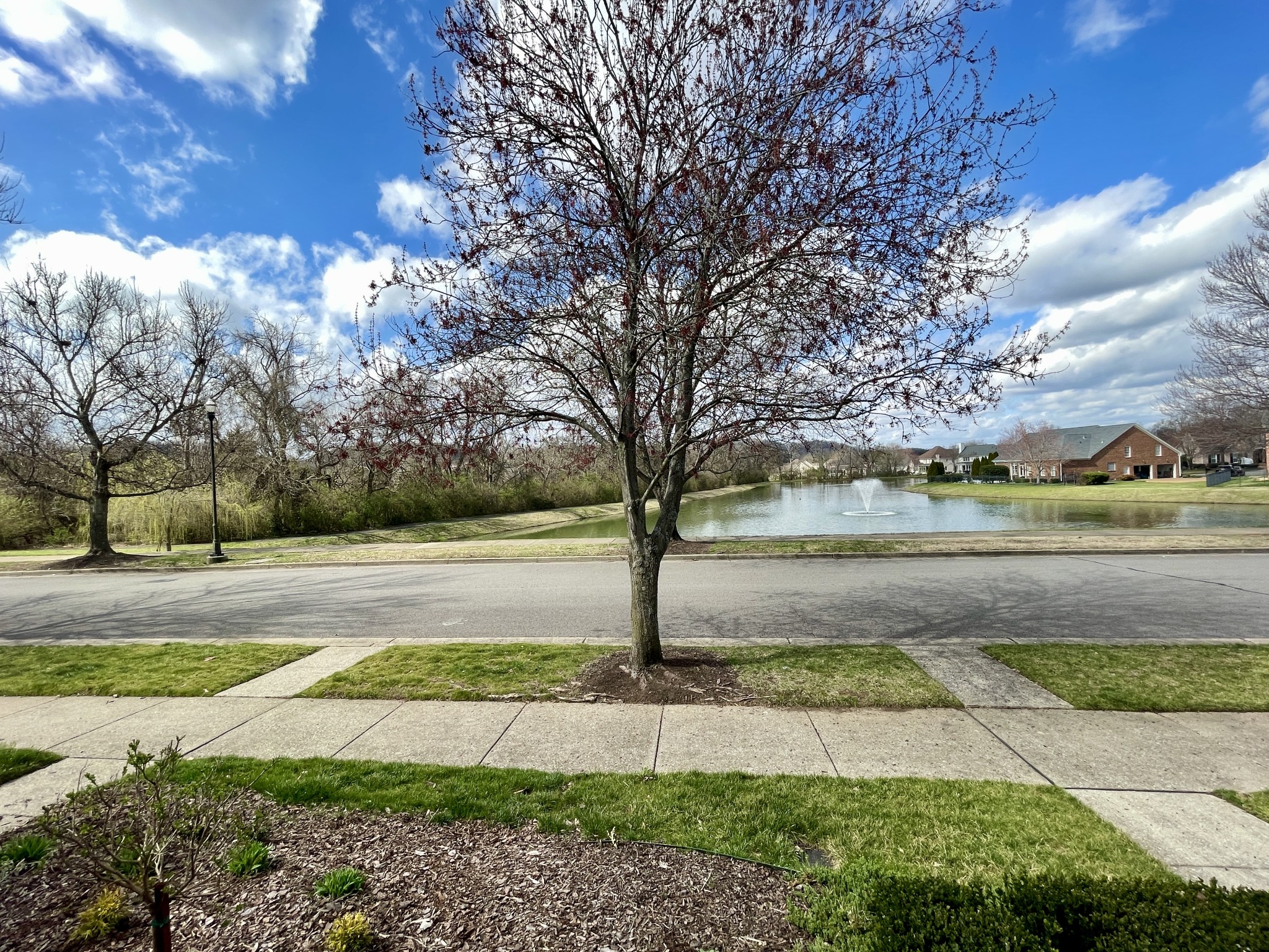 626 Springlake Drive Franklin, TN 37064 - Photo 24 of 29