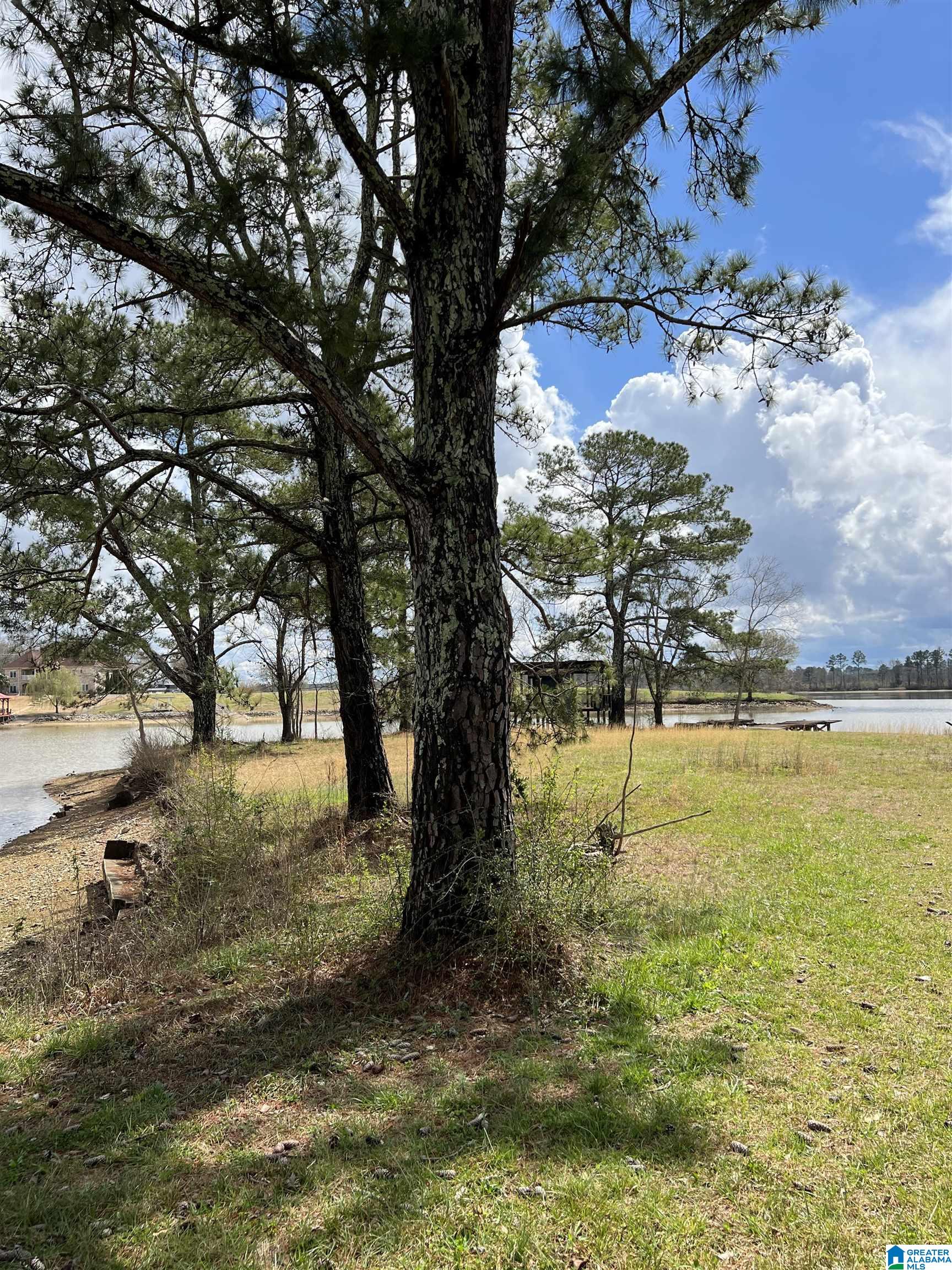 Stewart Road, Unit 6 7 & 8 Riverside, AL 35135 - Photo 1 of 4