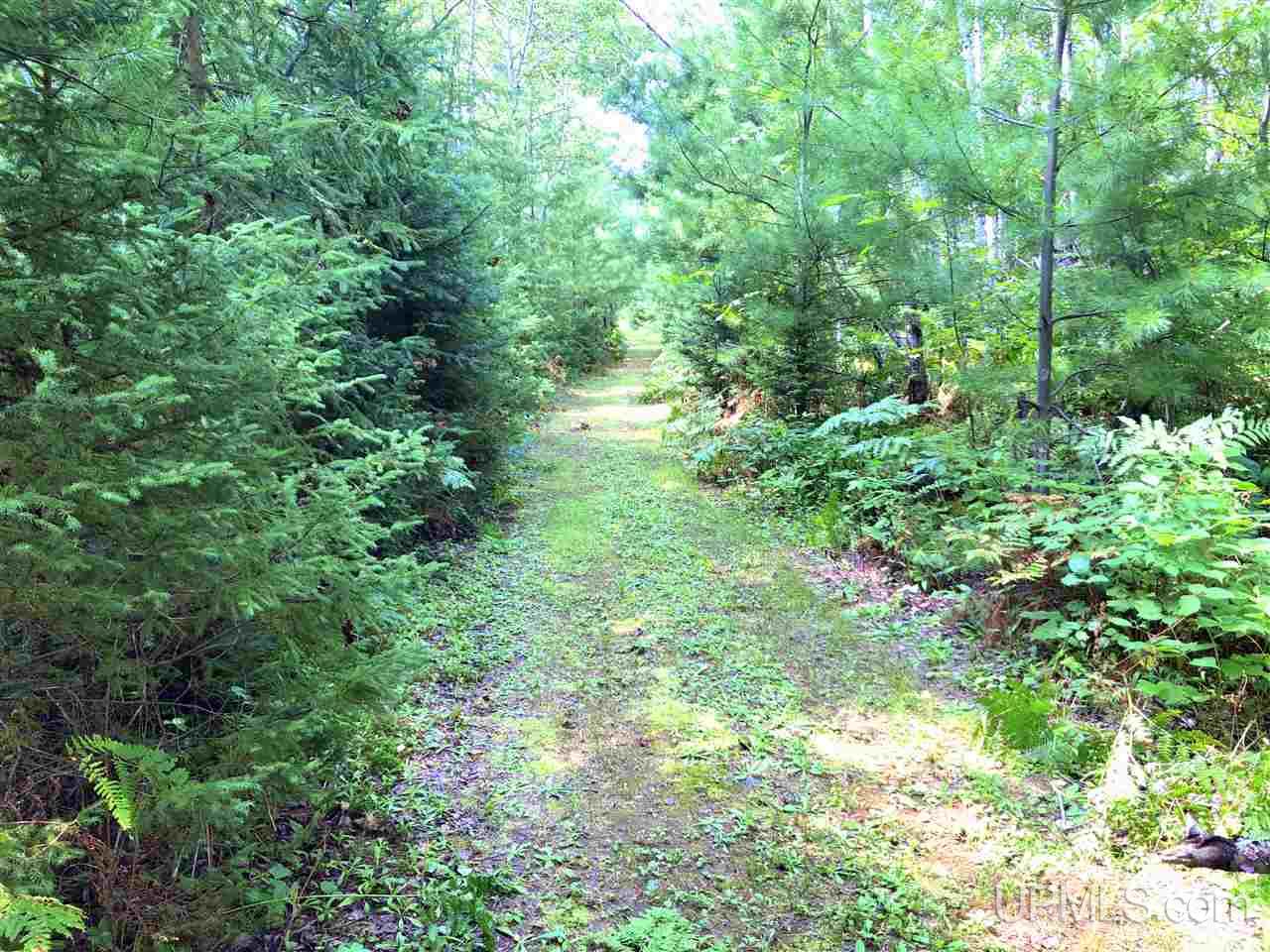 Tbd Perlot Road Felch, MI 49831 - Photo 21 of 45