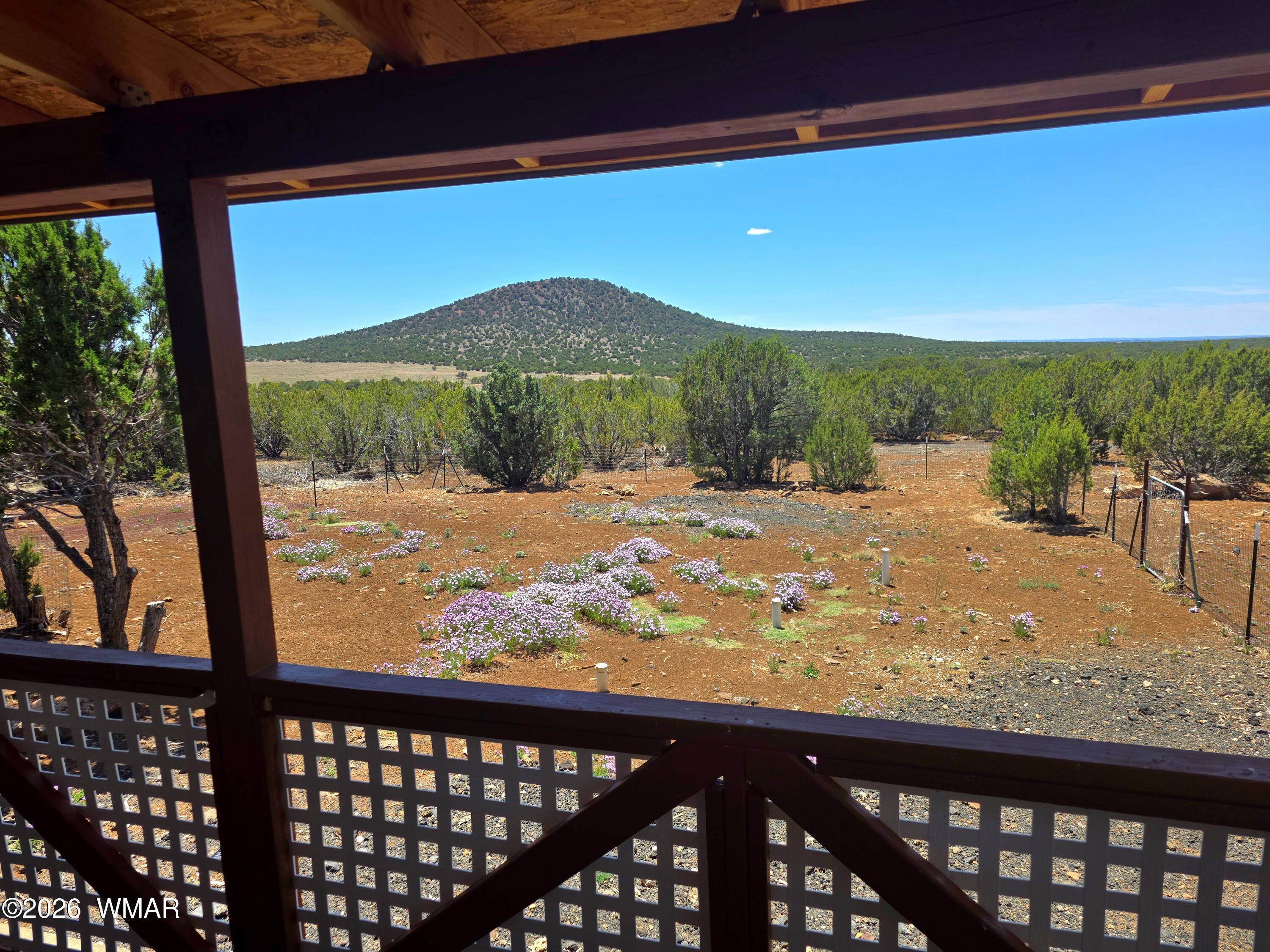 32-34 County Road Concho, AZ 85924 - Photo 33 of 73 a view of a backyard