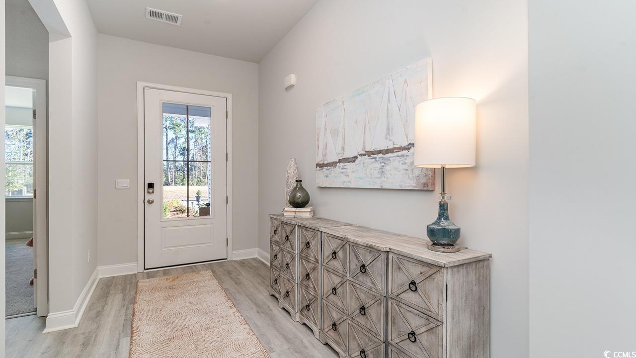 803 Ireland Drive Longs, SC 29568 - Photo 2 of 26 Doorway to outside featuring plenty of natural lig