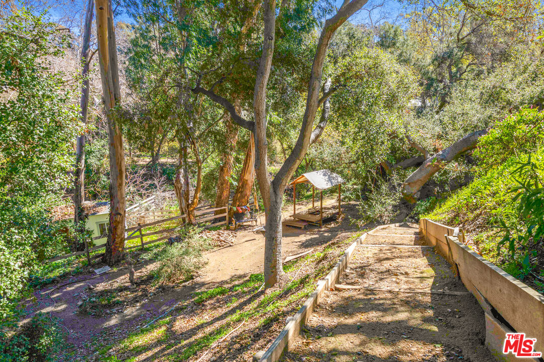 830 Brooktree Road Pacific Palisades, CA 90272 - Photo 35 of 37 a view of yard