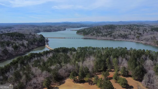 a view of a lake with a yard and mountain in the back