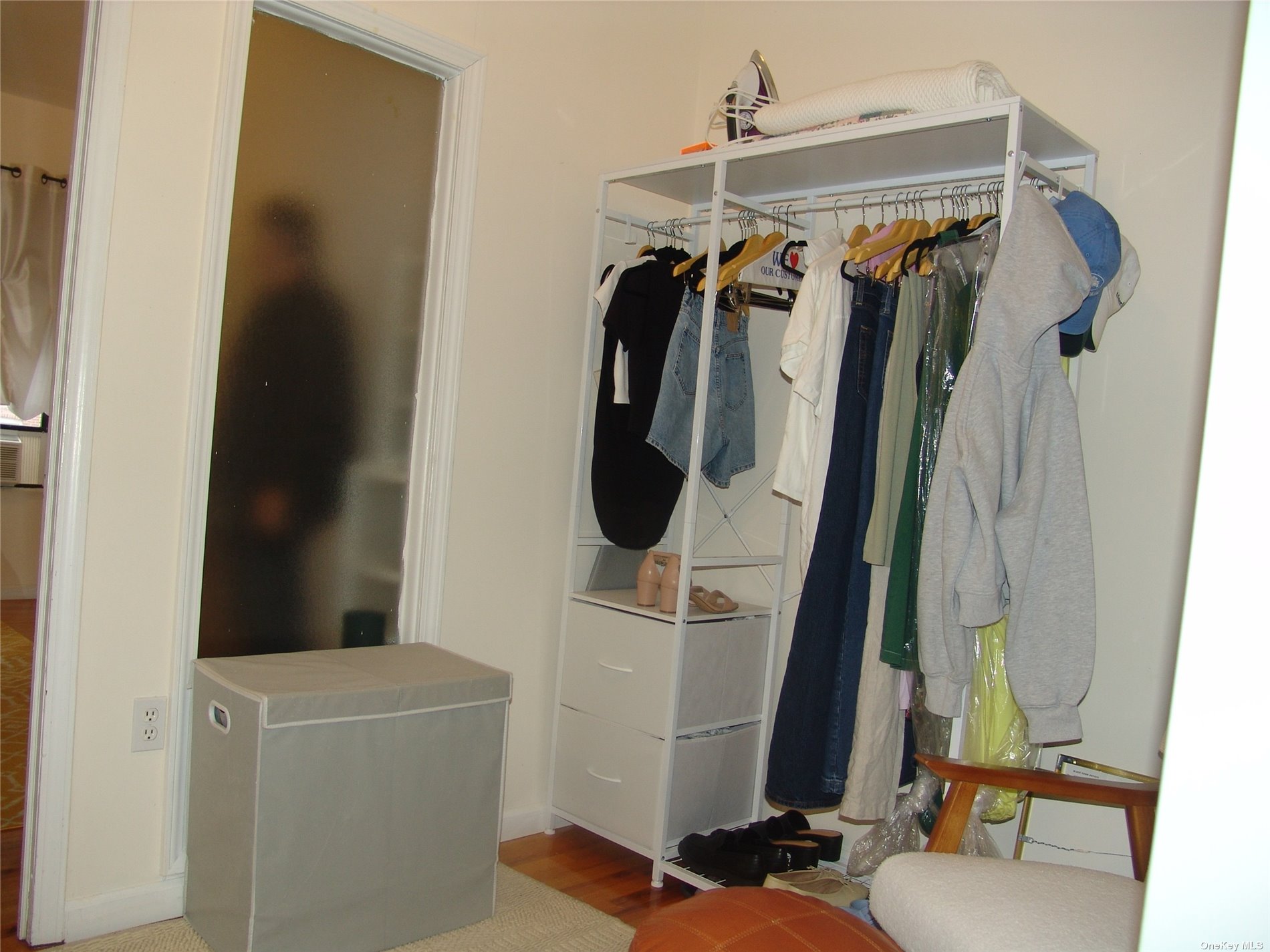 1724 8th Avenue, Unit 6 Brooklyn, NY 11215 - Photo 21 of 36 a view of walk in closet with clothes and shoes