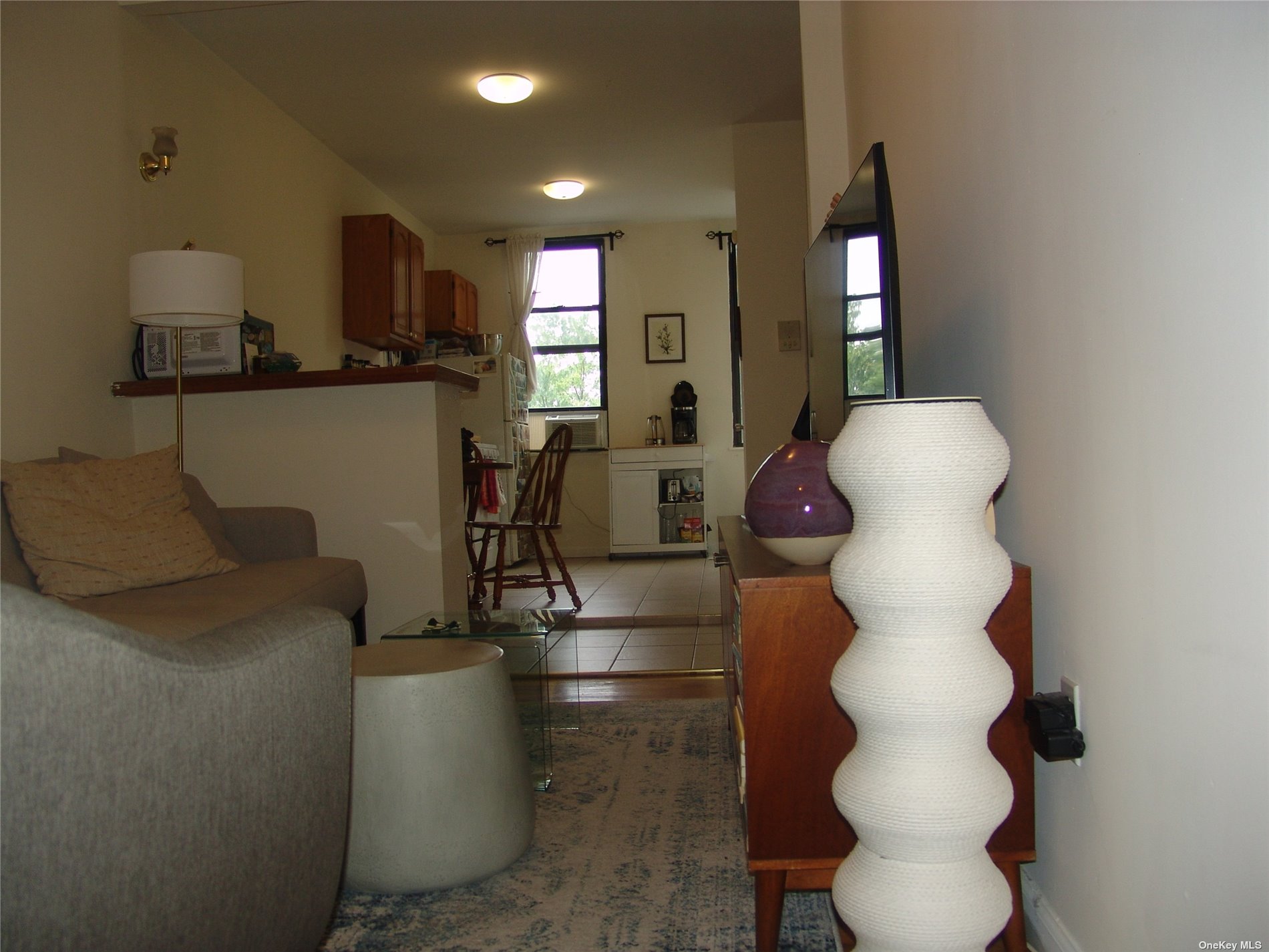 1724 8th Avenue, Unit 6 Brooklyn, NY 11215 - Photo 26 of 36 a living room with furniture and a flat screen tv