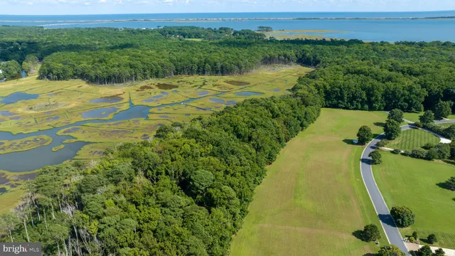 a view of a lake with a yard