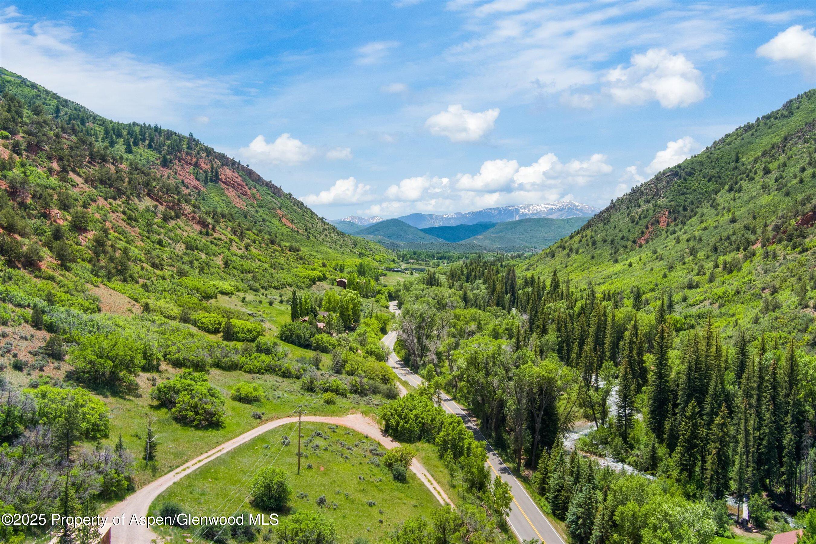 354 Snowmass Creek Road Snowmass, CO 81654 - Photo 17 of 53 a view of a lush green forest