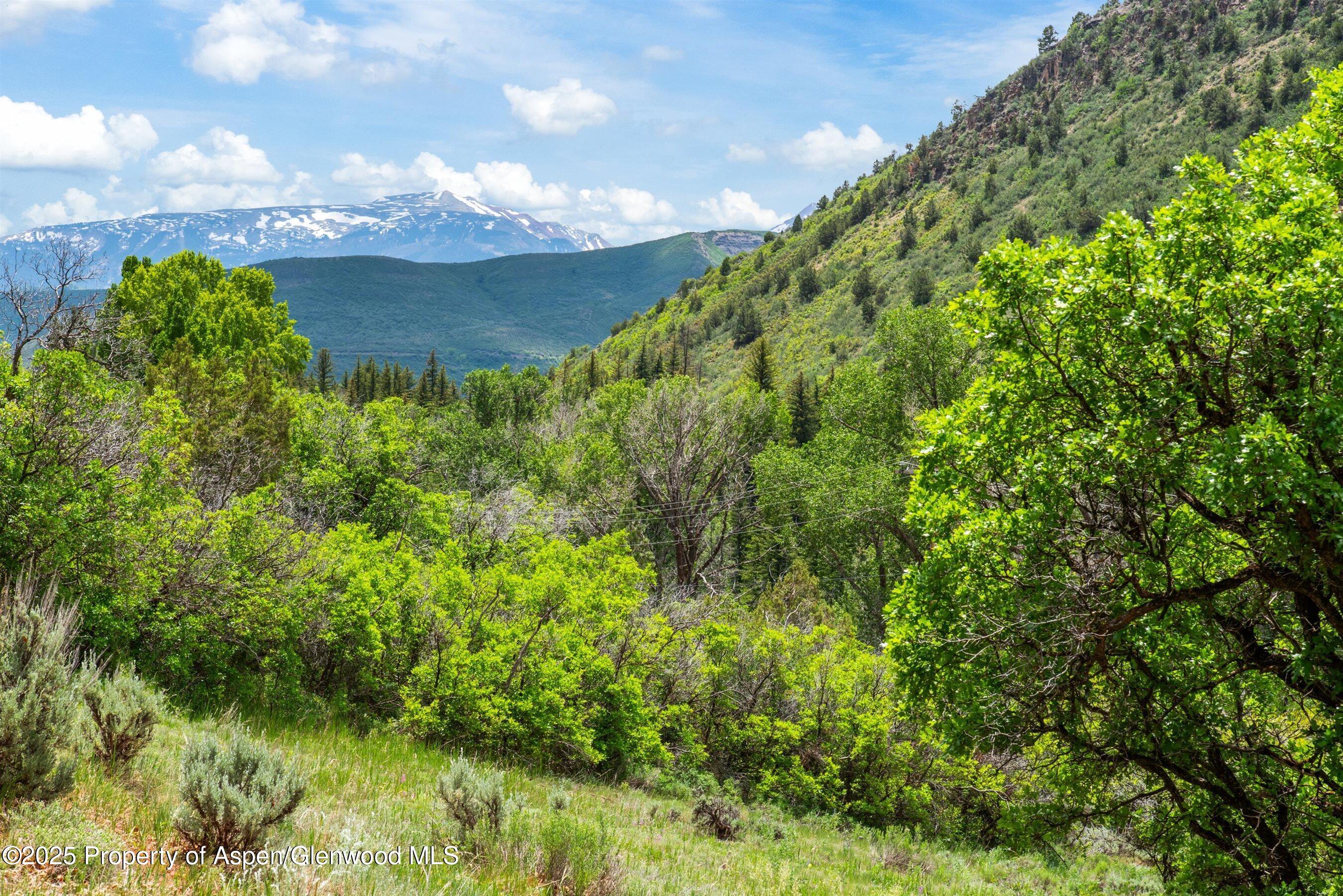 354 Snowmass Creek Road Snowmass, CO 81654 - Photo 2 of 53 a view of a garden