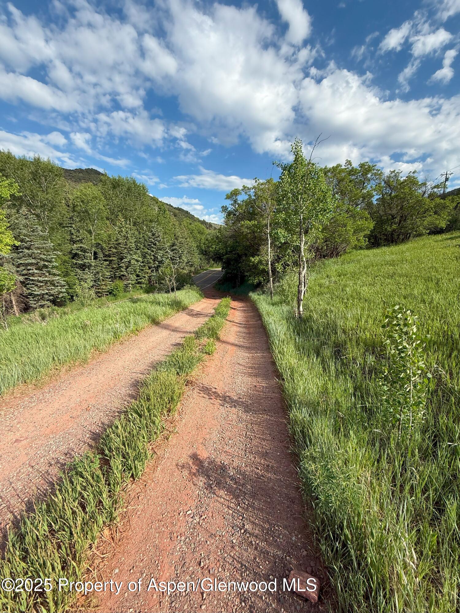 354 Snowmass Creek Road Snowmass, CO 81654 - Photo 30 of 53 a view of a pathway with a yard