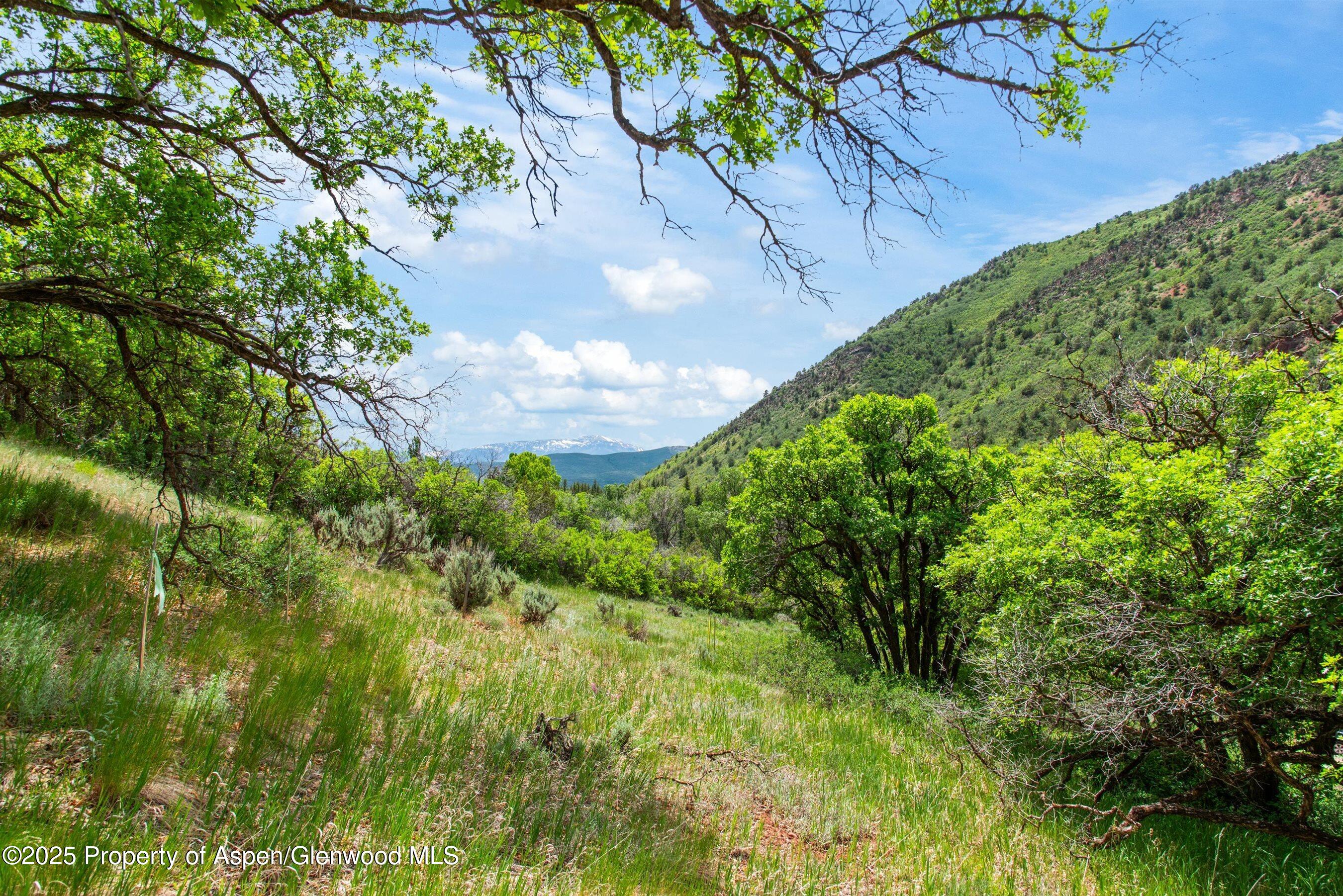 354 Snowmass Creek Road Snowmass, CO 81654 - Photo 3 of 53 03-354SnowmassCreek_250612003