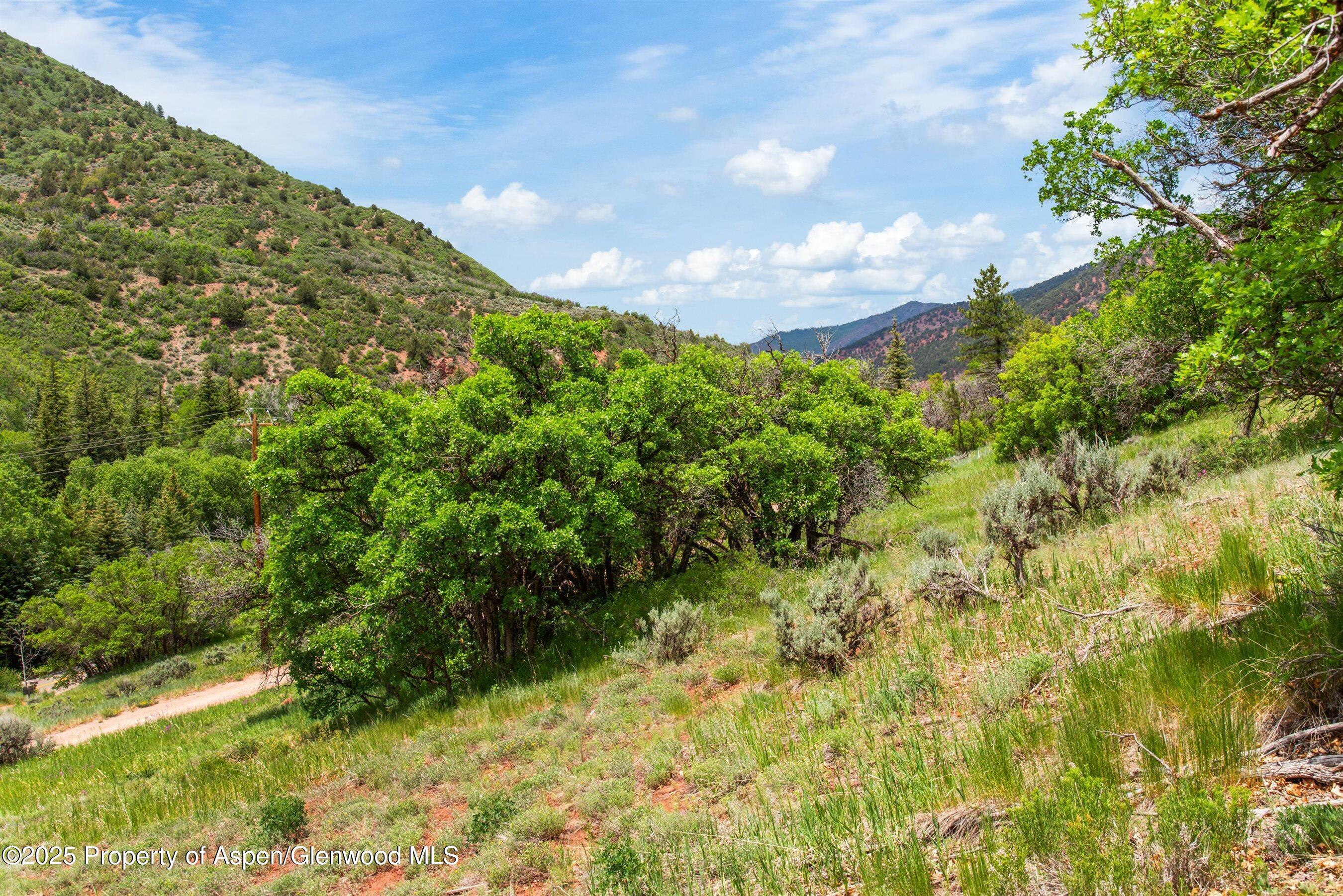 354 Snowmass Creek Road Snowmass, CO 81654 - Photo 4 of 53 a view of a garden