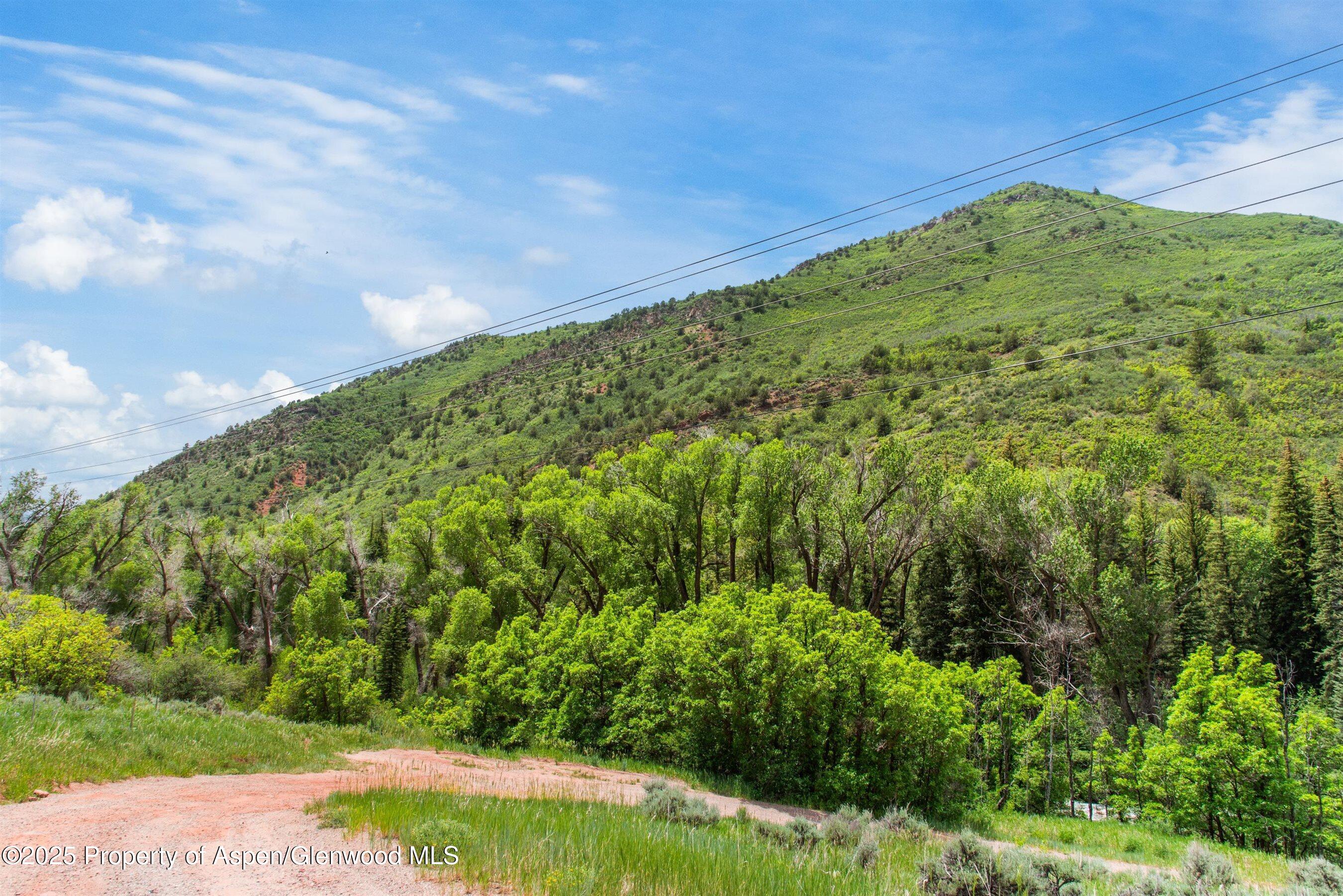 354 Snowmass Creek Road Snowmass, CO 81654 - Photo 9 of 53 a view of a field with plants and large trees