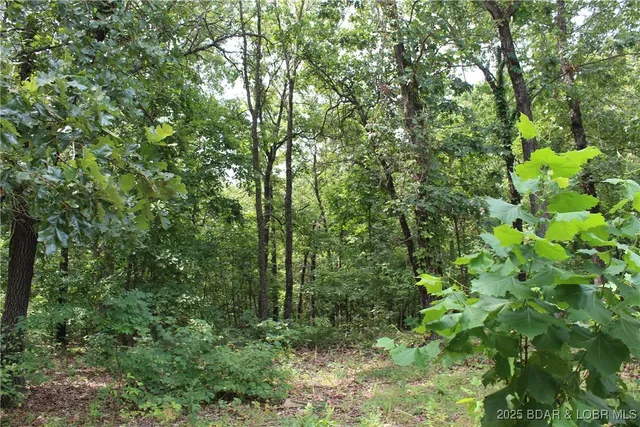 $99,500 | 8322 Spirit Lane, Versailles, MO 65084