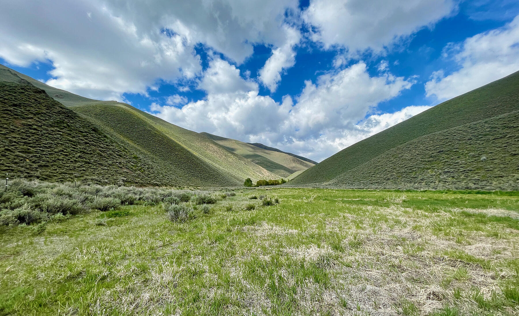 Tbd Slaughterhouse Creek Road Bellevue, ID 83313 - Photo 11 of 56 011-spirit-woman