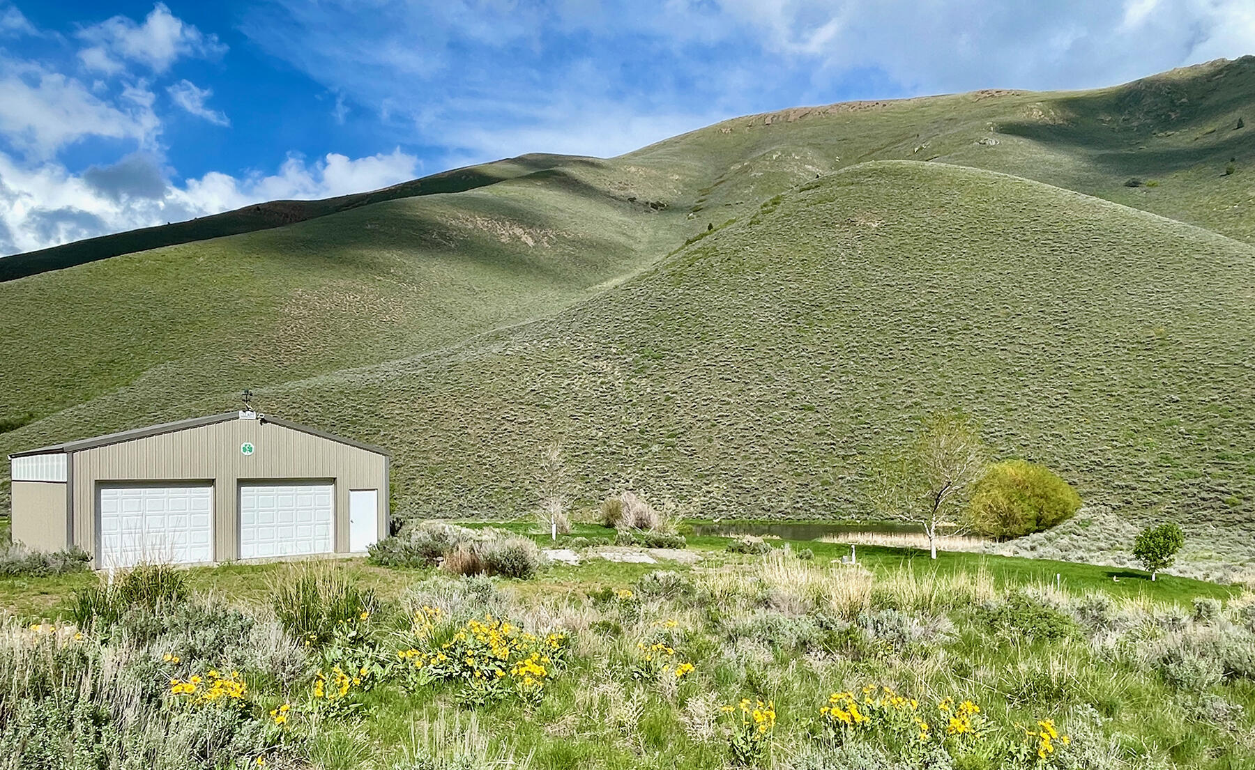 Tbd Slaughterhouse Creek Road Bellevue, ID 83313 - Photo 12 of 56 012-spirit-woman