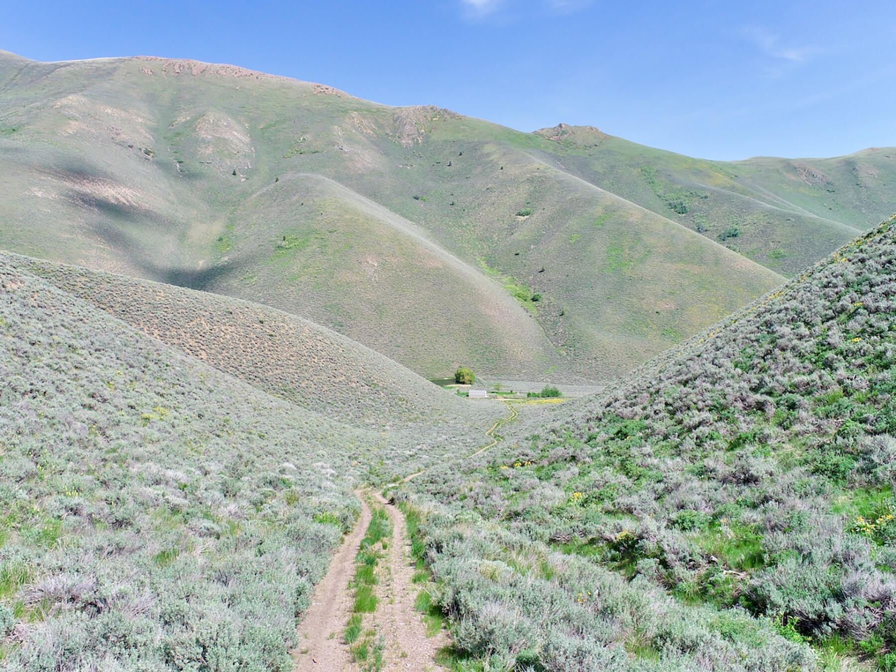 Tbd Slaughterhouse Creek Road Bellevue, ID 83313 - Photo 16 of 56 016-spirit-woman
